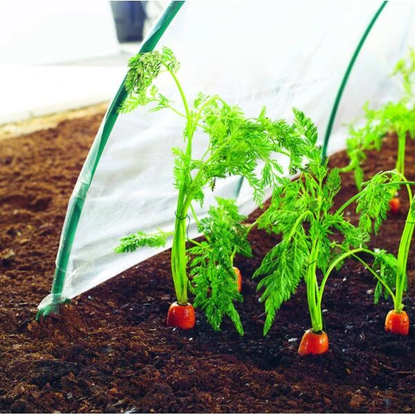 Kweekfolie / Tunnelfolie - 2 × 10 M - Afbeelding 2