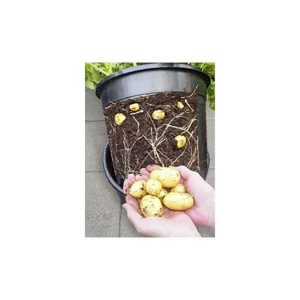 ESSCHERT DESIGN Aardappelpot - PotatoPot - 12 Liter - Afbeelding 2