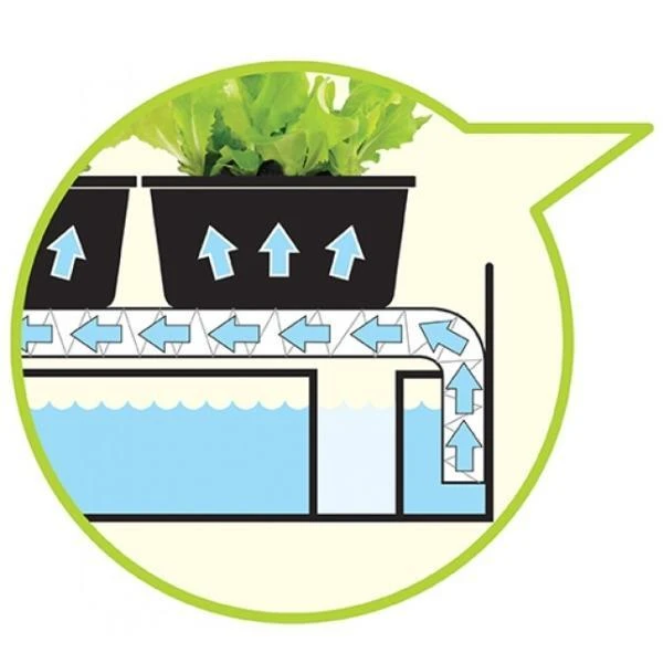 Bewateringstray + Vloeidoek 57 × 39 × 5 Cm - Afbeelding 2