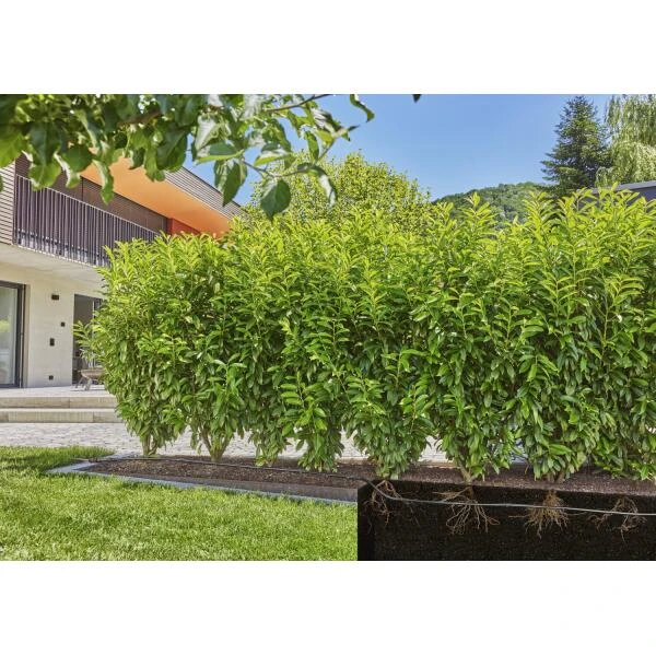 Gardena Micro-Drip-Bewatering Heggen/struiken Set - 50 M - Afbeelding 3