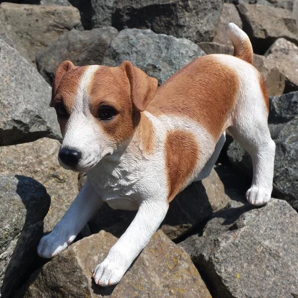 Speelse Jack Russel Levensecht Tuinbeeld - Afbeelding 3