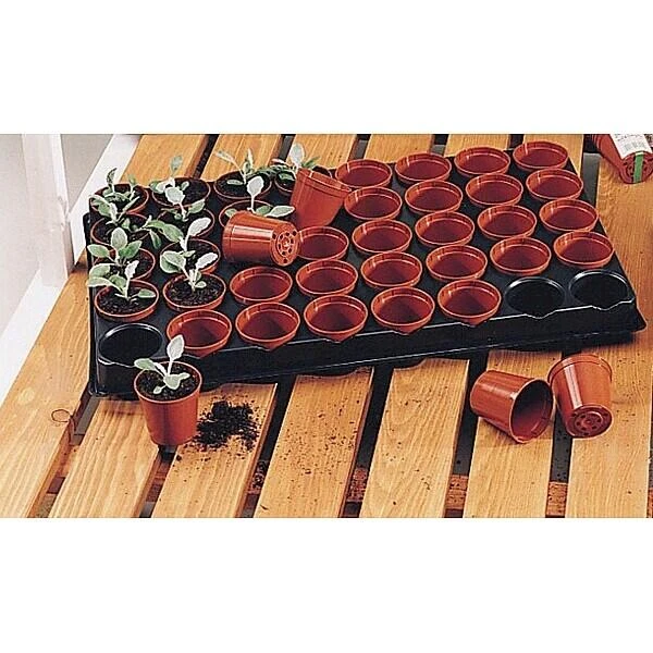 Tray Met 40 Kweekpotjes 6 Cm