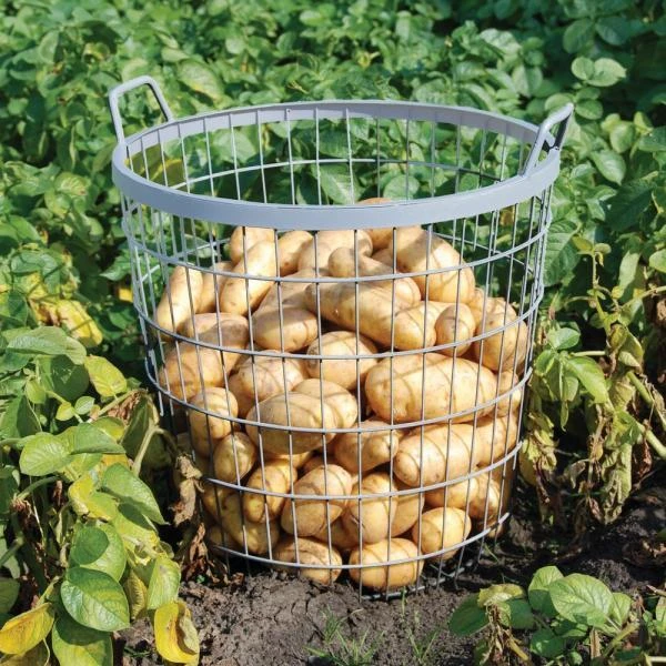 ESSCHERT DESIGN Metalen Oogstkorf - Aardappelmand - Afbeelding 3