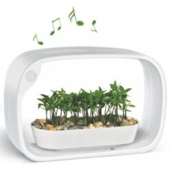 Mini Tuin Jardin Secret Met Ledverlichting En Bluetooth - Rechthoek