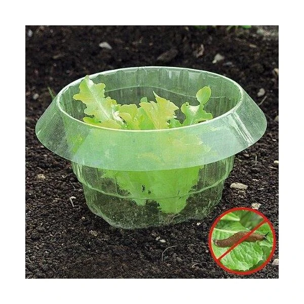 Slakken Beschermringen - Set Van 6 Stuks