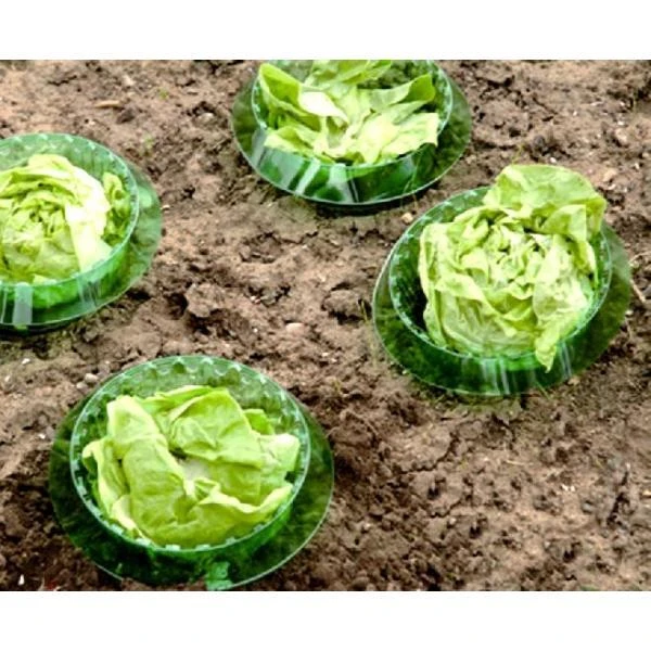 Slakken Beschermringen - Set Van 6 Stuks - Afbeelding 2