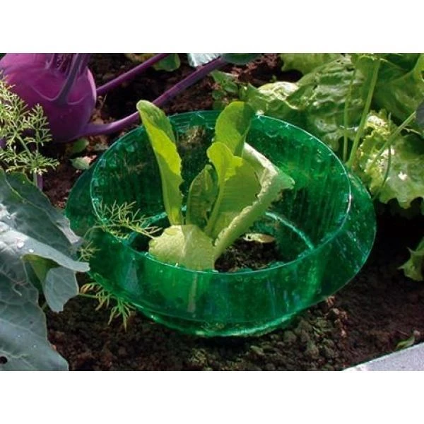 Slakken Beschermringen - Set Van 6 Stuks - Afbeelding 3